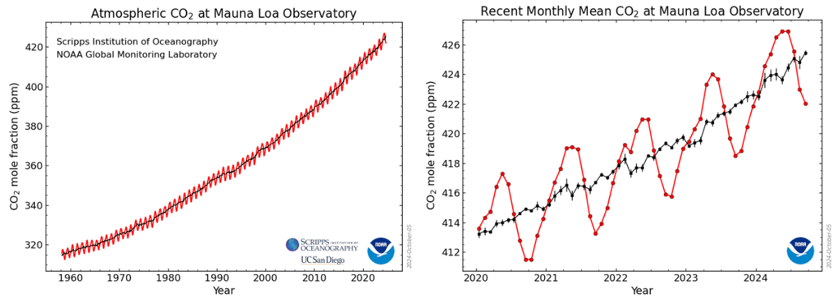 La concentrazione di CO2 in atmosfera negli ultimi 60 anni e durante l'ultimo quadriennio. 