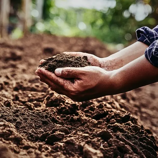Il suolo alla prova del clima. Arriva una nuova mappa per conoscerlo e tutelarlo