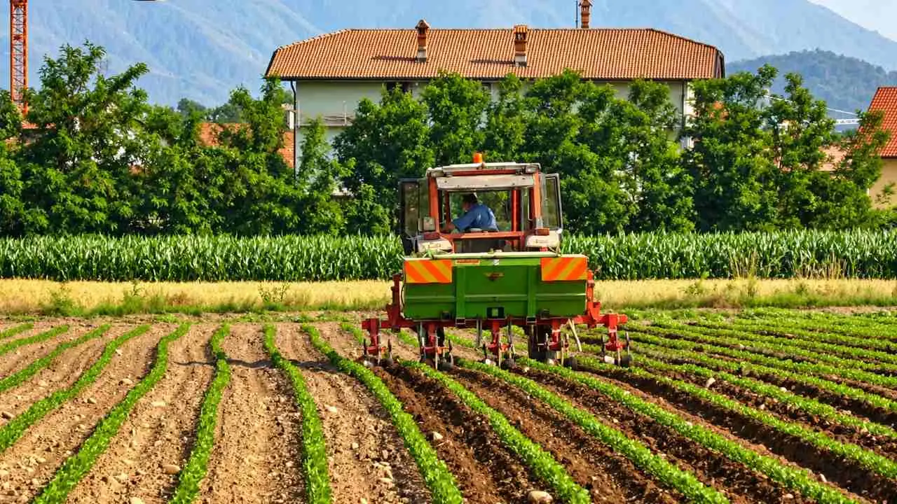 Il fagiolo del Cuneese, una storia di terra, lavoro e tradizione agricola: un trattore fra i solchi