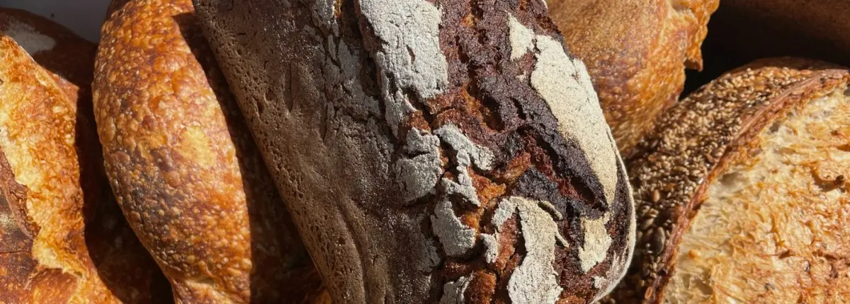 Pane sostenibile: il pane di Triticum