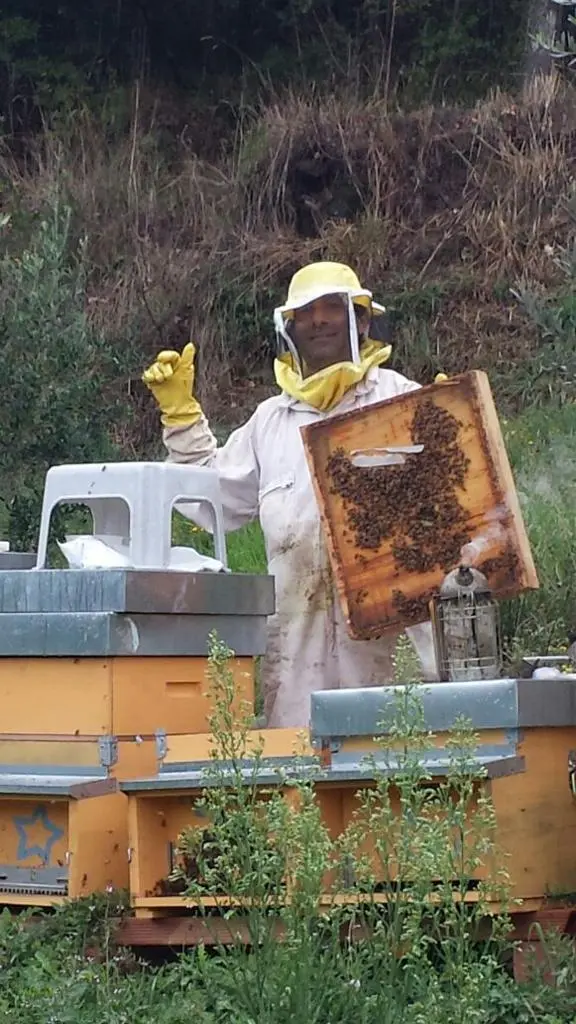 Come di diventa apicoltori? Enrico Baroni accanto al suo alveare
