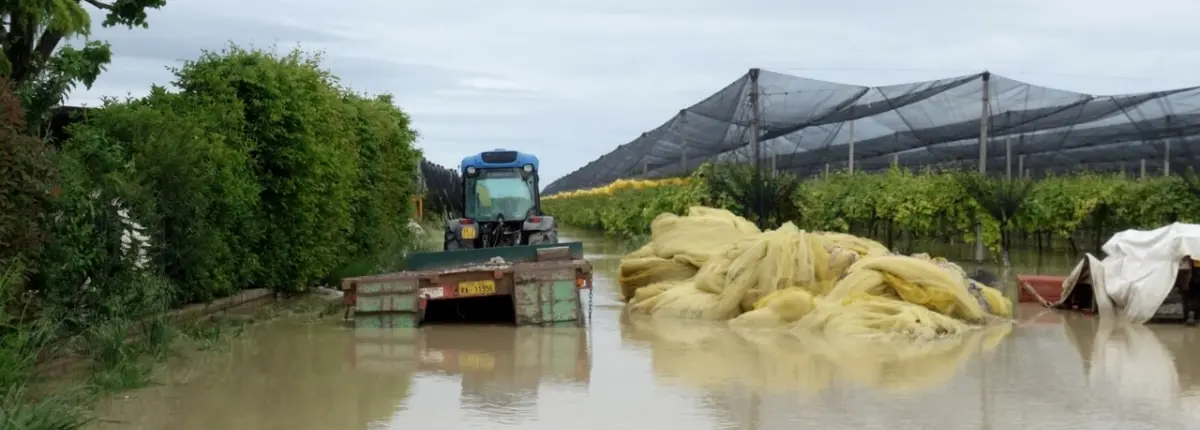Gli effetti dell'alluvione in Emilia Romagna del 17 maggio 20203 (Foto: Protezione civile)