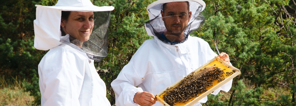 Biologico, apicoltori mostrano telaino con le api 
