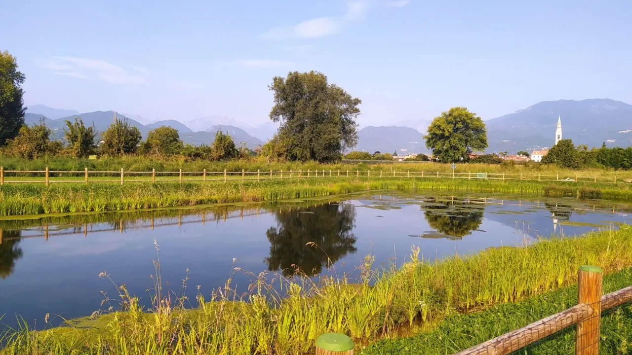 Rigenerare secondo natura: un bacino di ritenzione a Marano (Vicenza)