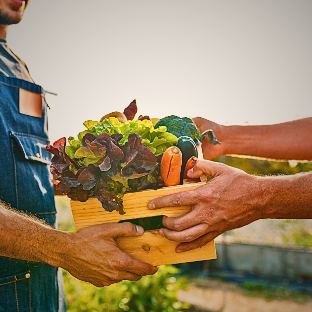 Biologico in Italia, crescono consumi e produzione. I nuovi dati dell’Ismea