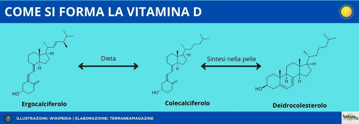 Vitamina D, sfida d'autunno: rappresentazione grafica