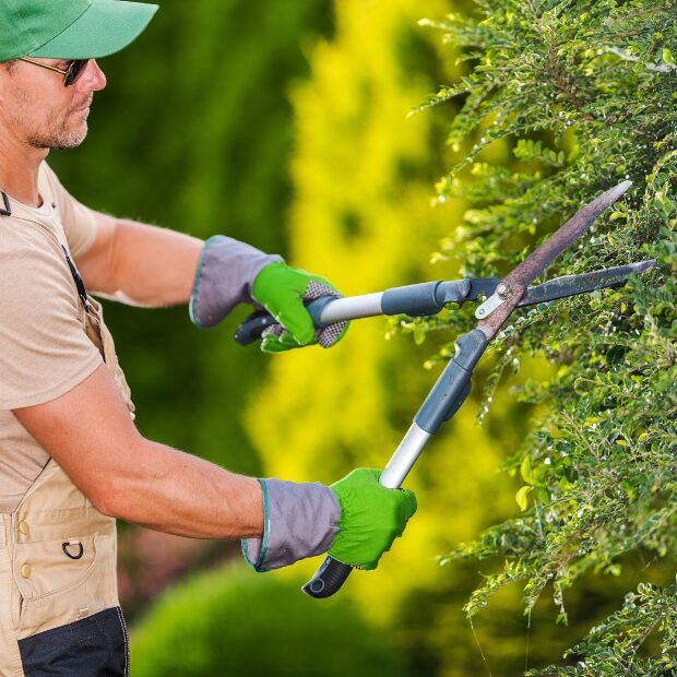 Settimana del baratto: curare un giardino in cambio di un soggiorno in B&B