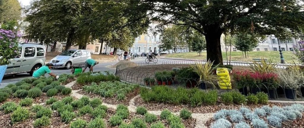 Il rain garden di Verdecittà a Torino (Foto: Asproflor)