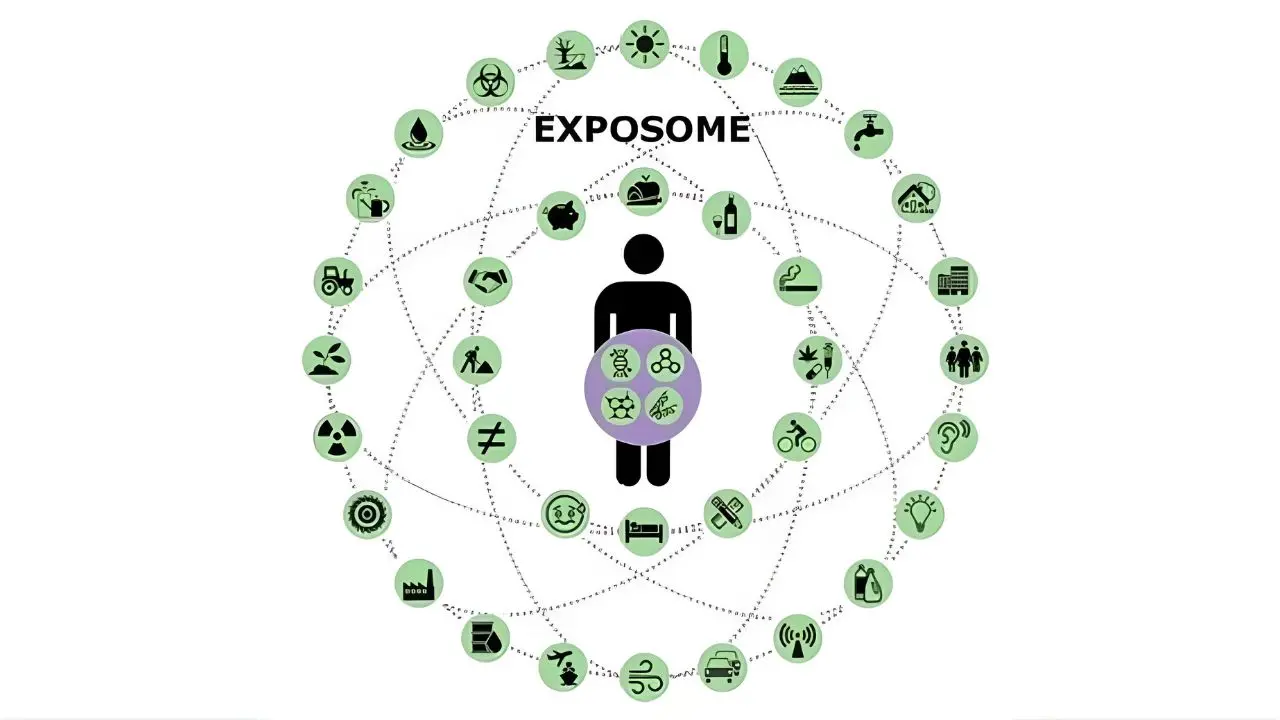 esposoma