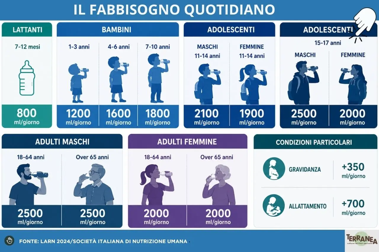 Il fabbisogno quotidiano d'acqua, infografica