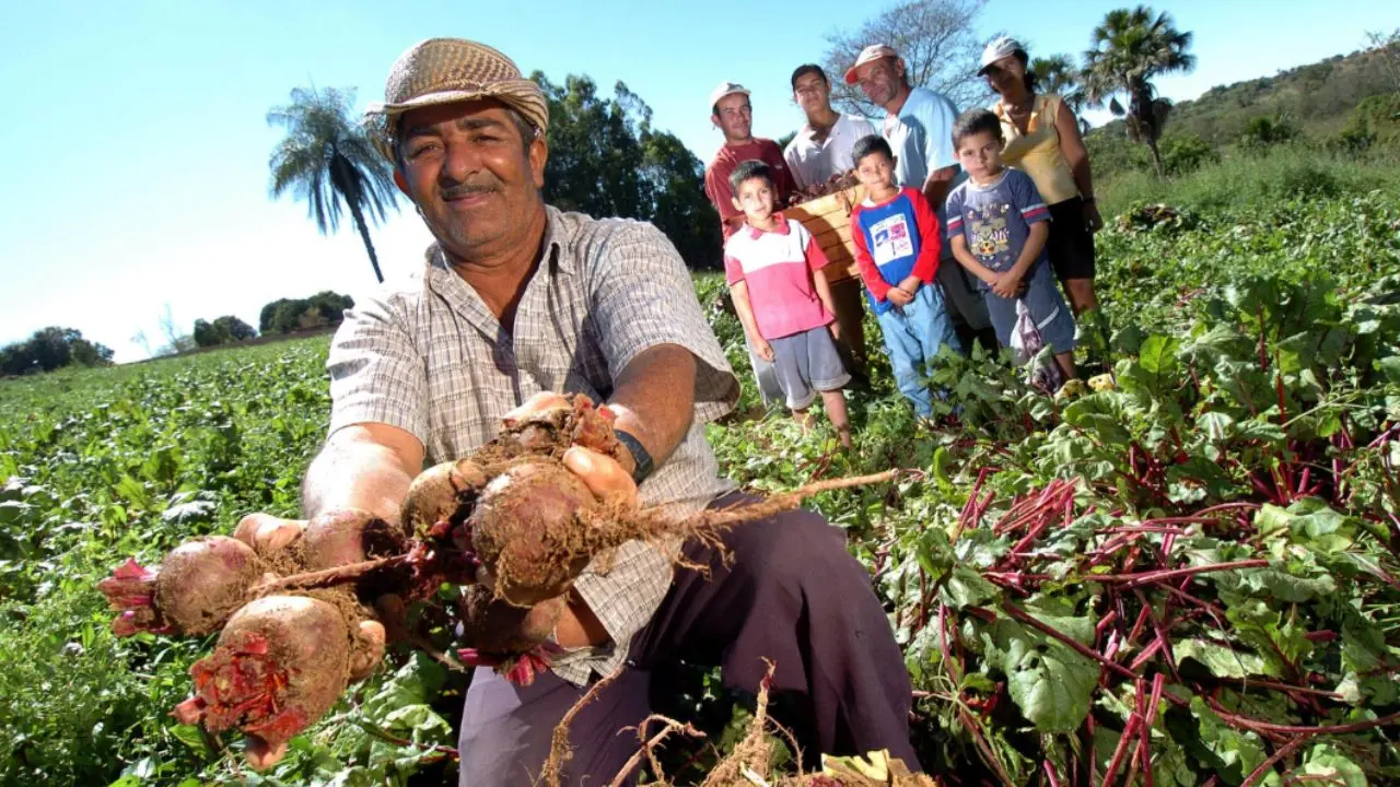 Belém, parte la Cop30: quanto peserà l'agricoltura? Una famiglia di contadini in Brasile