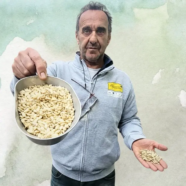 Il farro, l’oro della Garfagnana: un cereale che sa di memoria e futuro