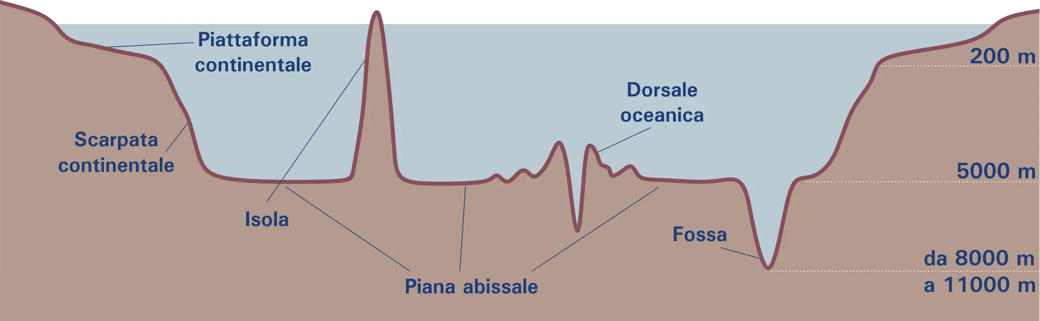 Alla Conferenza sugli oceani di Nizza insieme a Gaia Blu: il fondale marino in sezione