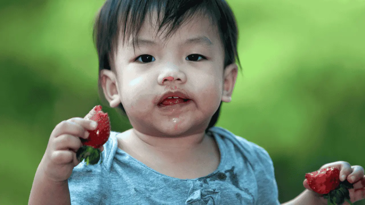 bambino piccolo che mangia una fragola