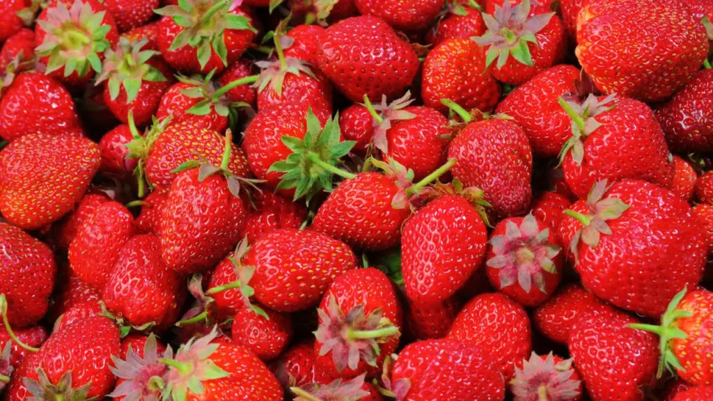 Svezzamento, come e quando: le fragole