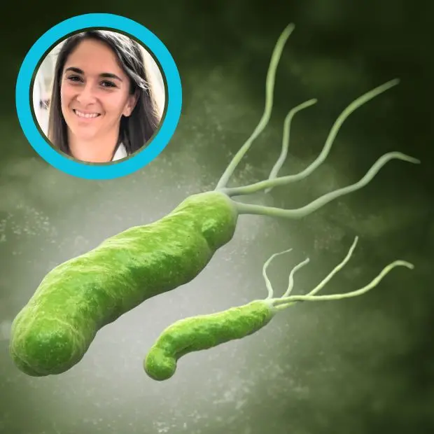 Helicobacter, l’ospite indesiderato che colonizza lo stomaco. Come proteggersi