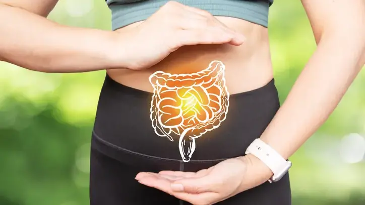 Semi e germogli, rappresentazione grafica dell'intestino