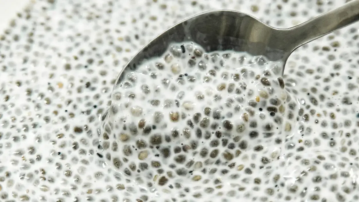Budino con semi di chia