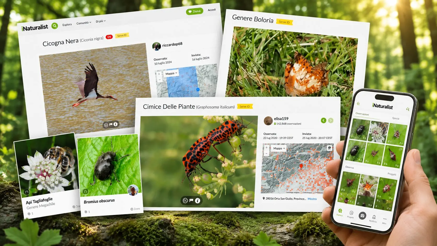 Ad agosto ascolta la natura: le schermate di iNaturalist