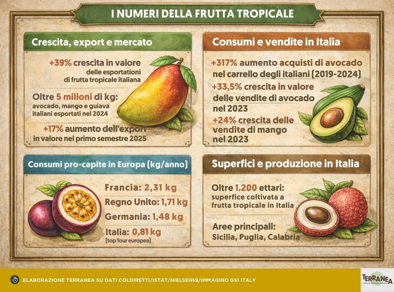 La Sicilia e le colture tropicali: rappresentazione grafica dei valori numerici espressi nell'articolo