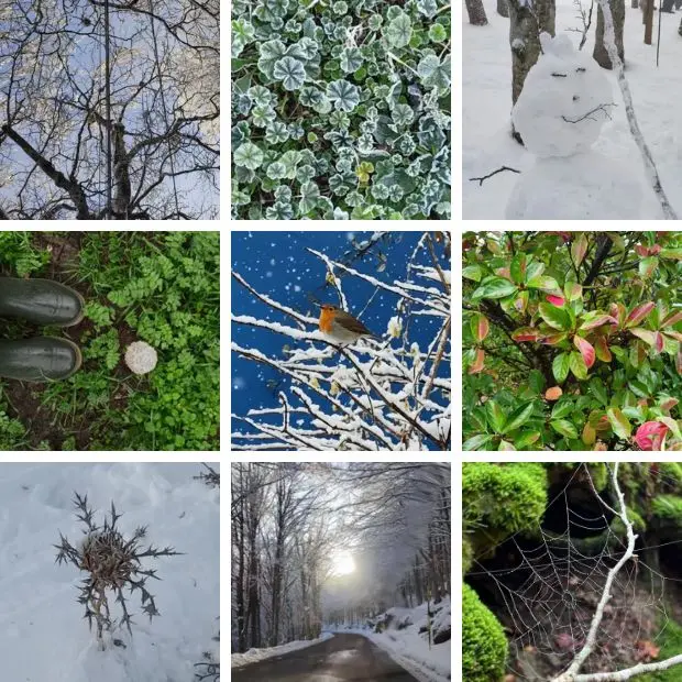 L’inverno che stupisce. I vostri scatti in un album di fine stagione