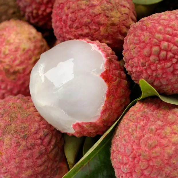 Il Litchi, il frutto cinese che piaceva alla concubina dell’imperatore