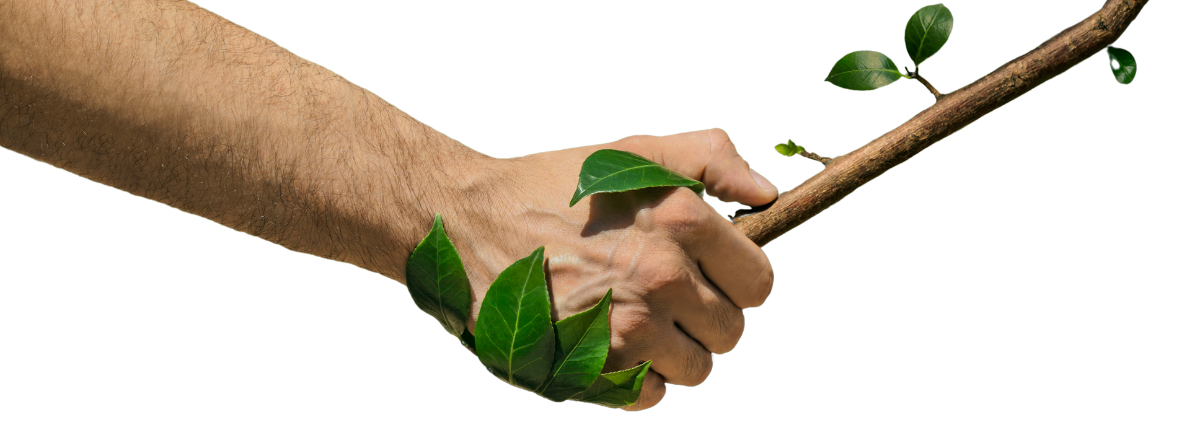 Rigenerare secondo natura, immagine simbolica