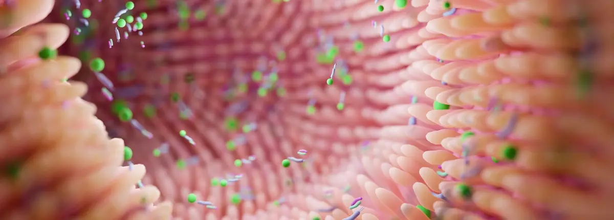 Rappresentazione in 3d della flora batterica
