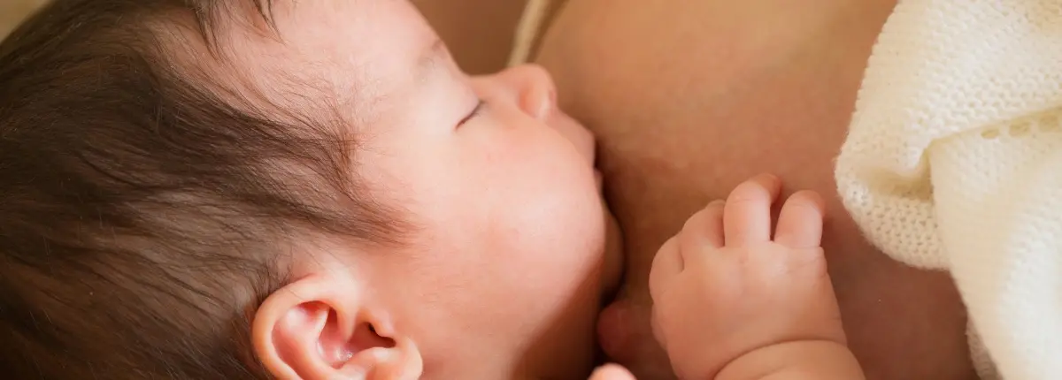 Un bambino allatta al seno della madre