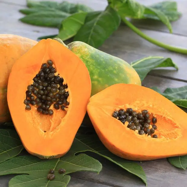 La Papaya, il frutto degli angeli che fa bene anche agli anziani