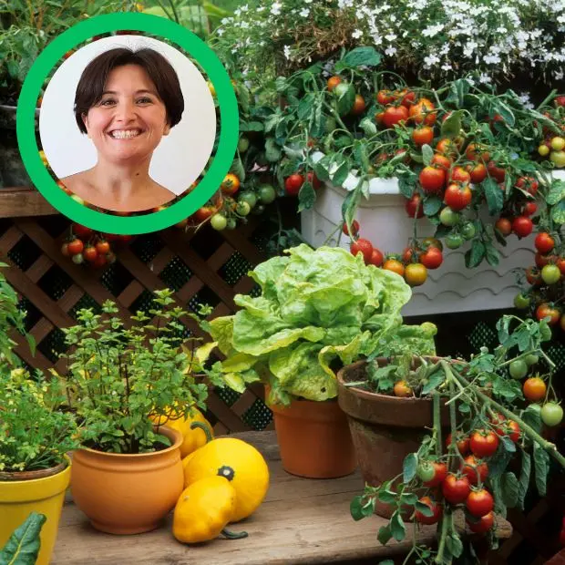 Orto di casa mia. Quando il balcone diventa la nostra dispensa