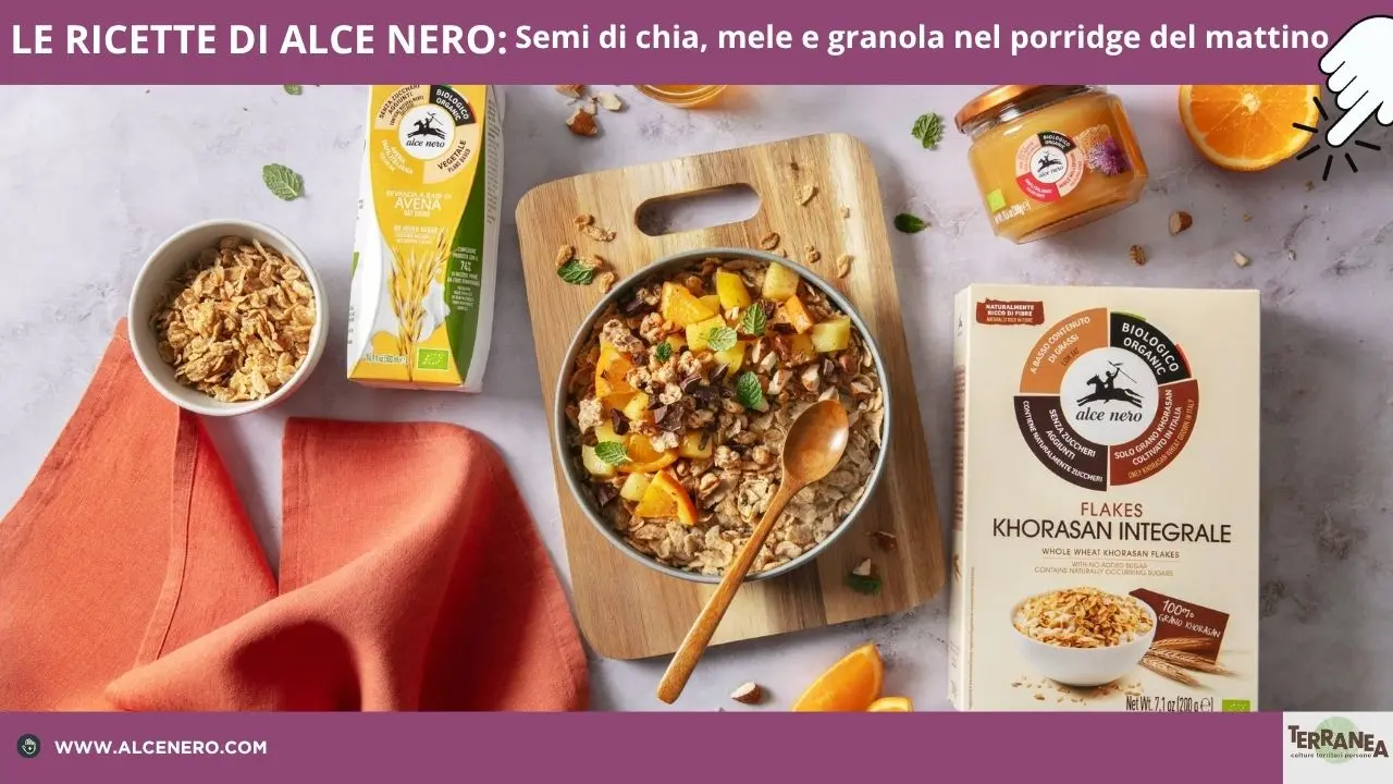 Ricetta di Alce Nero