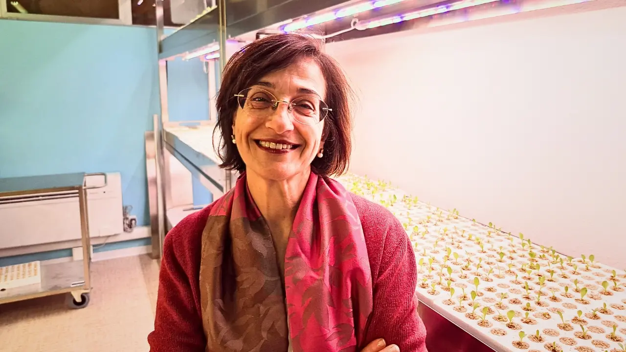 Rosalba Saba, docente di produzioni animali e biotecnologie agrarie presso l’Istituto superiore Santoni di Pisa, professione agronomo