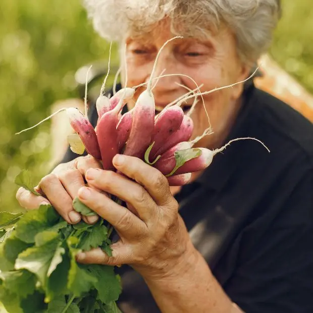 Invecchiare in natura. Un progetto di co-housing rurale nell’agro romano