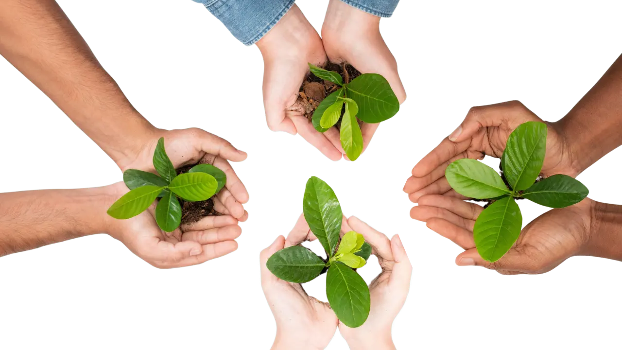 Quattro esperienze di agricoltura sociale: immagine simbolica