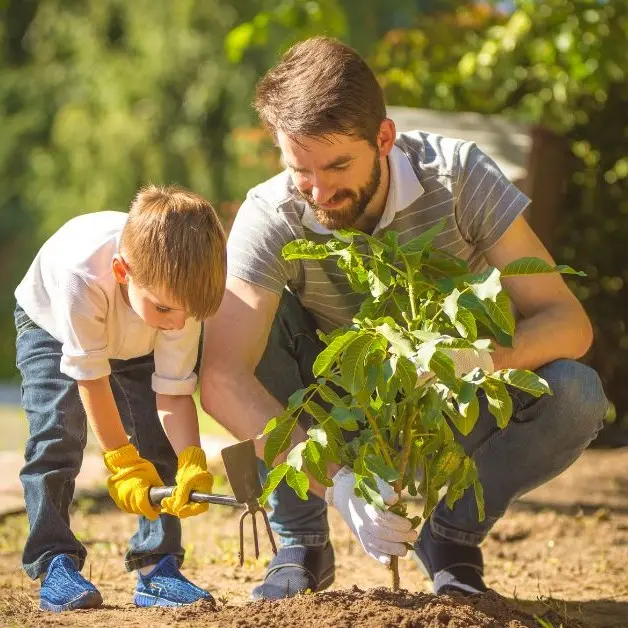 Radici per il futuro, ricomincia la distribuzione di alberi in Emilia-Romagna
