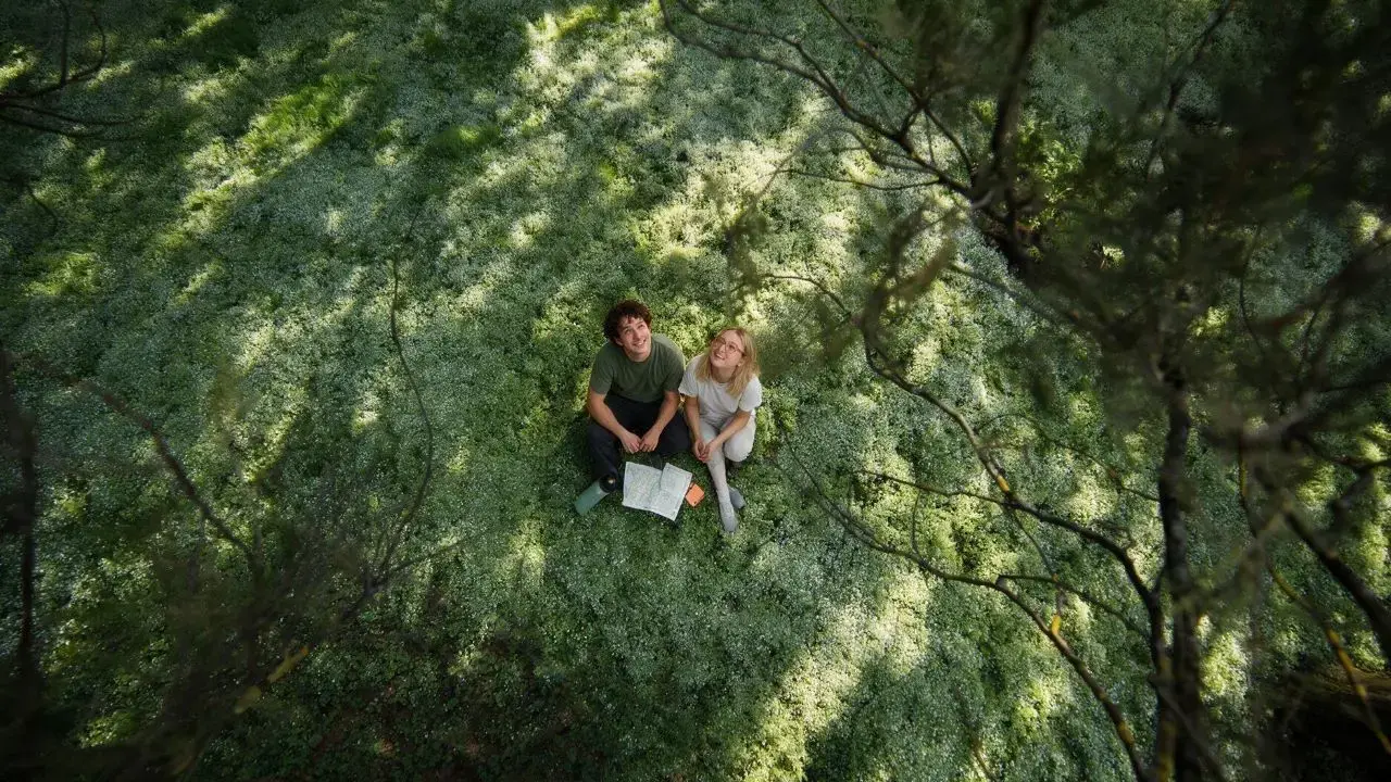 Ad agosto ascolta la natura: una ragazza e un ragazzo visti dall'alto nella radura di un bosco