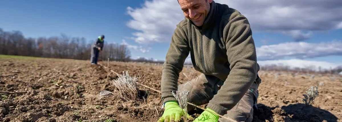Rischio climatico, agricoltori al lavoro in un sistema di irrigazione