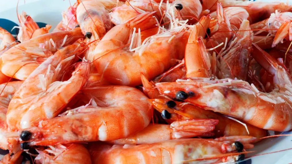 Svezzamento, come e quando: i crostacei