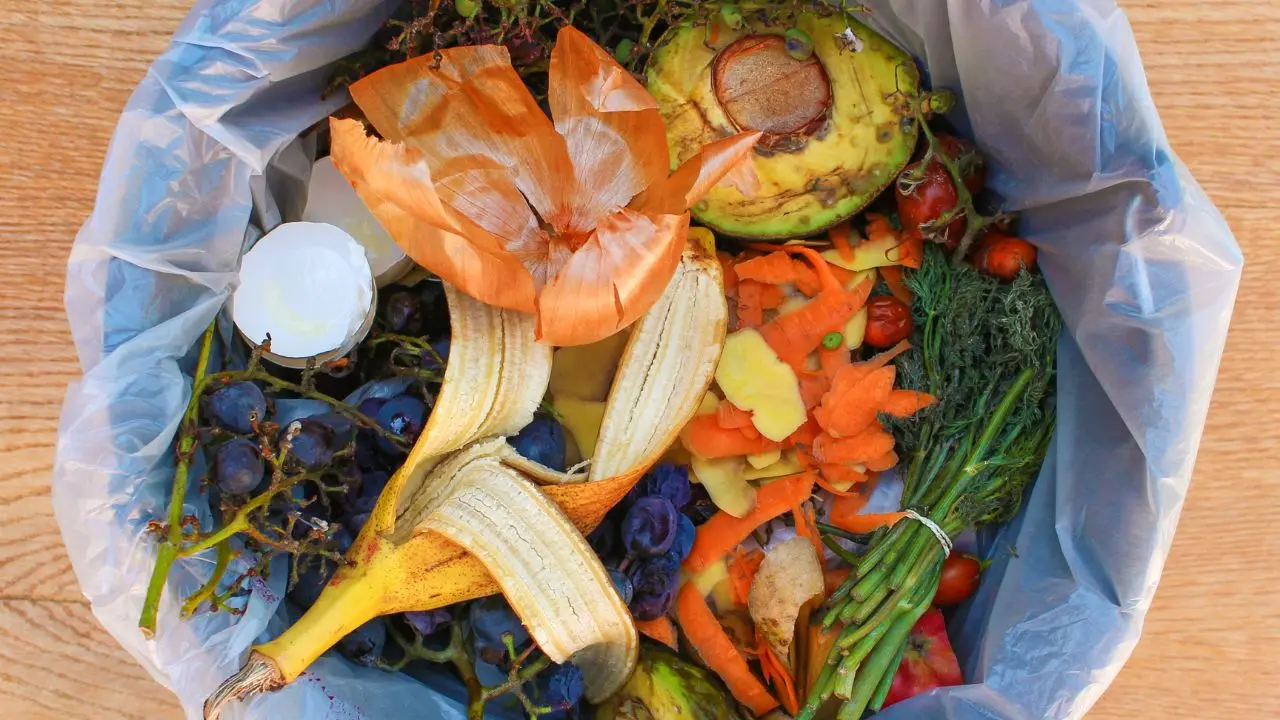 Spreco zero? Si può. Intervista con Lisa Casali: una pattumiera ricolma di scarti alimentari