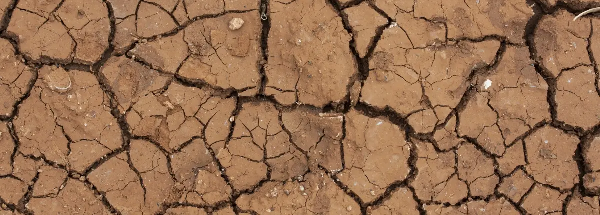 Terreno arido