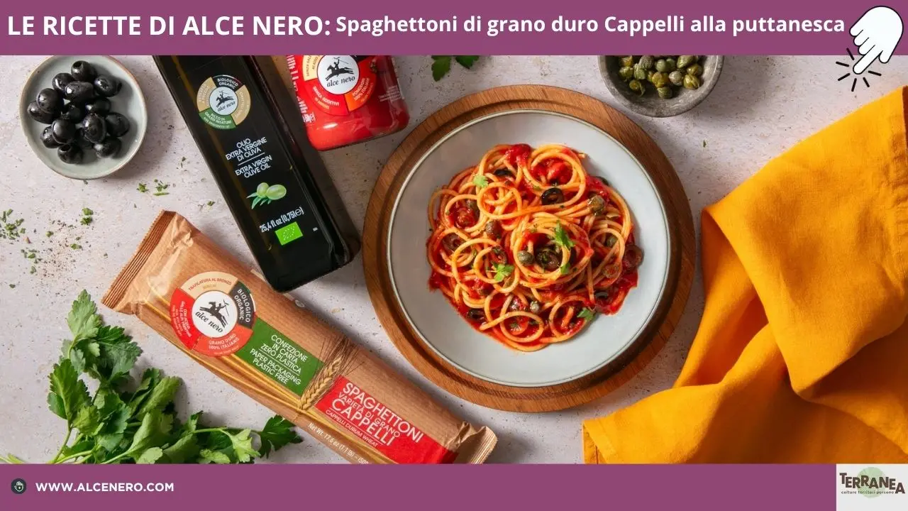 Spaghettoni Senatore Cappelli Alce NEro