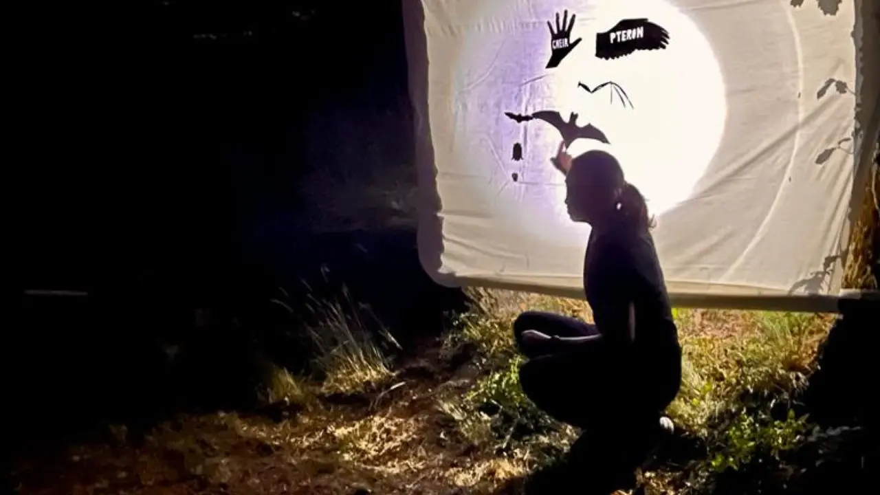 Giù le mani dai pipistrelli: Un'attività divulgativa con il teatro d'ombre di "Sportello Pipistrelli"