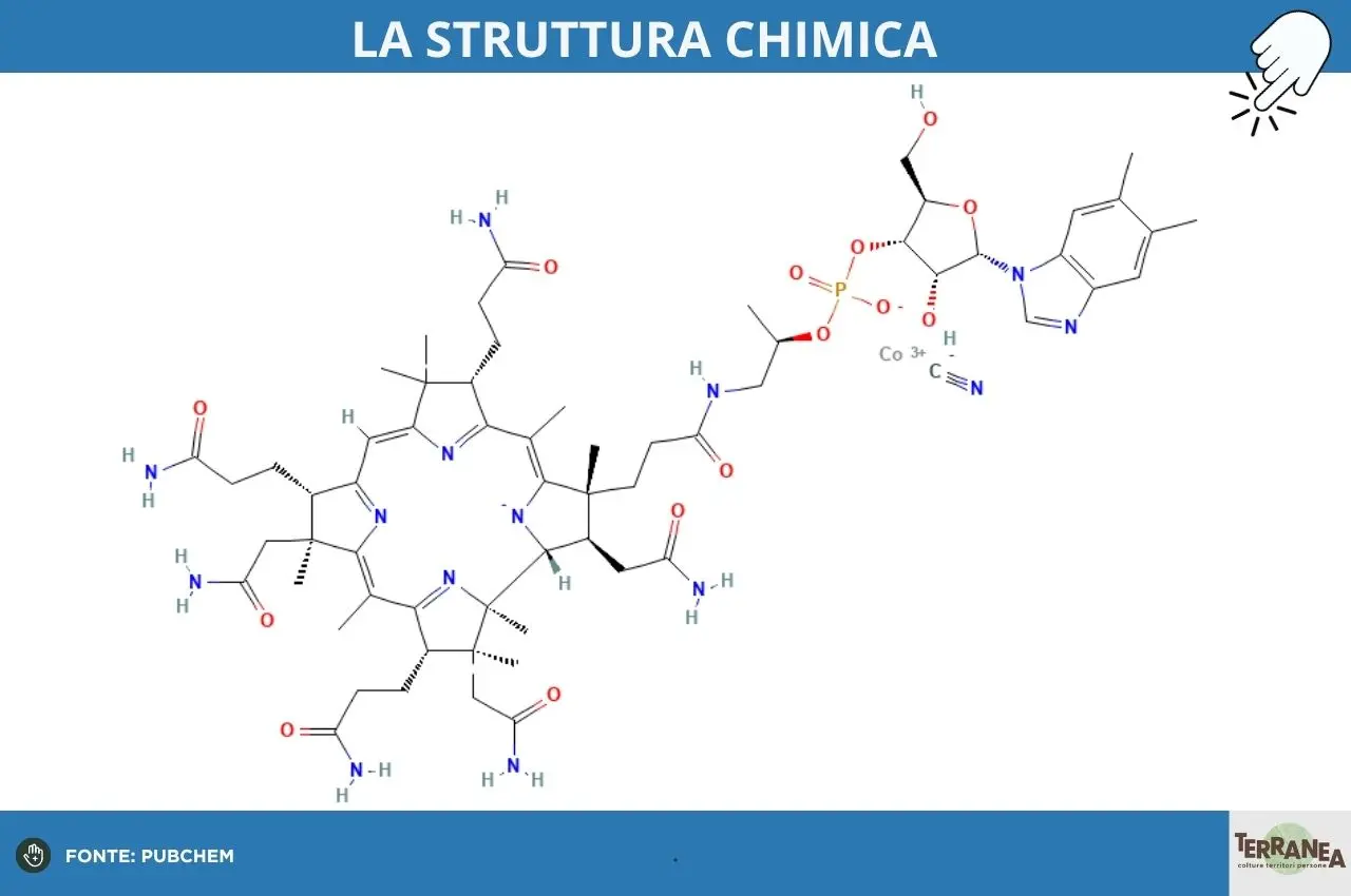 La struttura chimica della B12