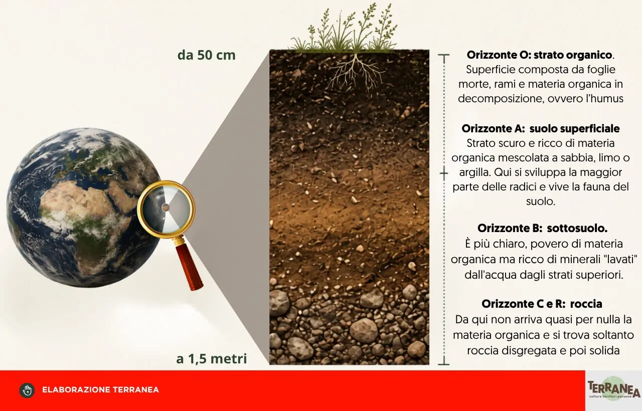 Giacomo Sartori e l’alfabeto invisibile del suolo: rappresentazione grafica