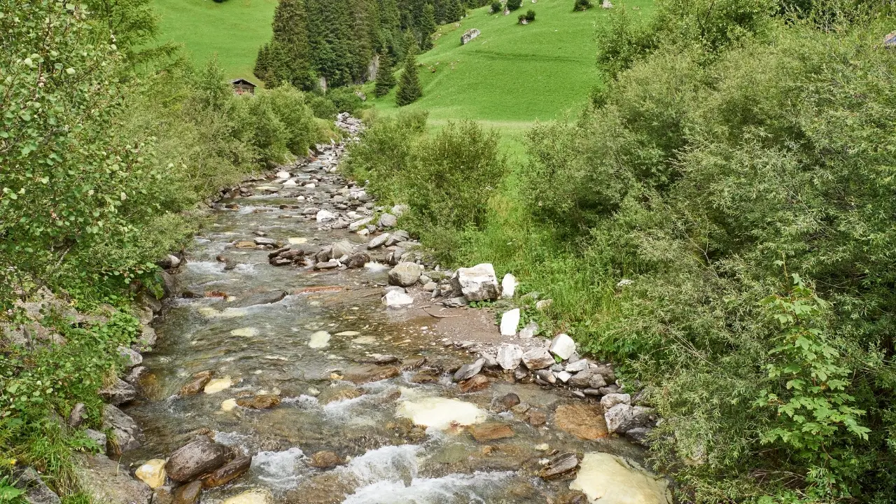 Ad agosto ascolta la natura: il corso di un torrente