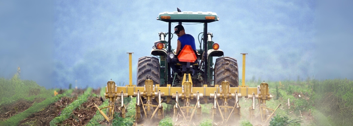 trattore al lavoro