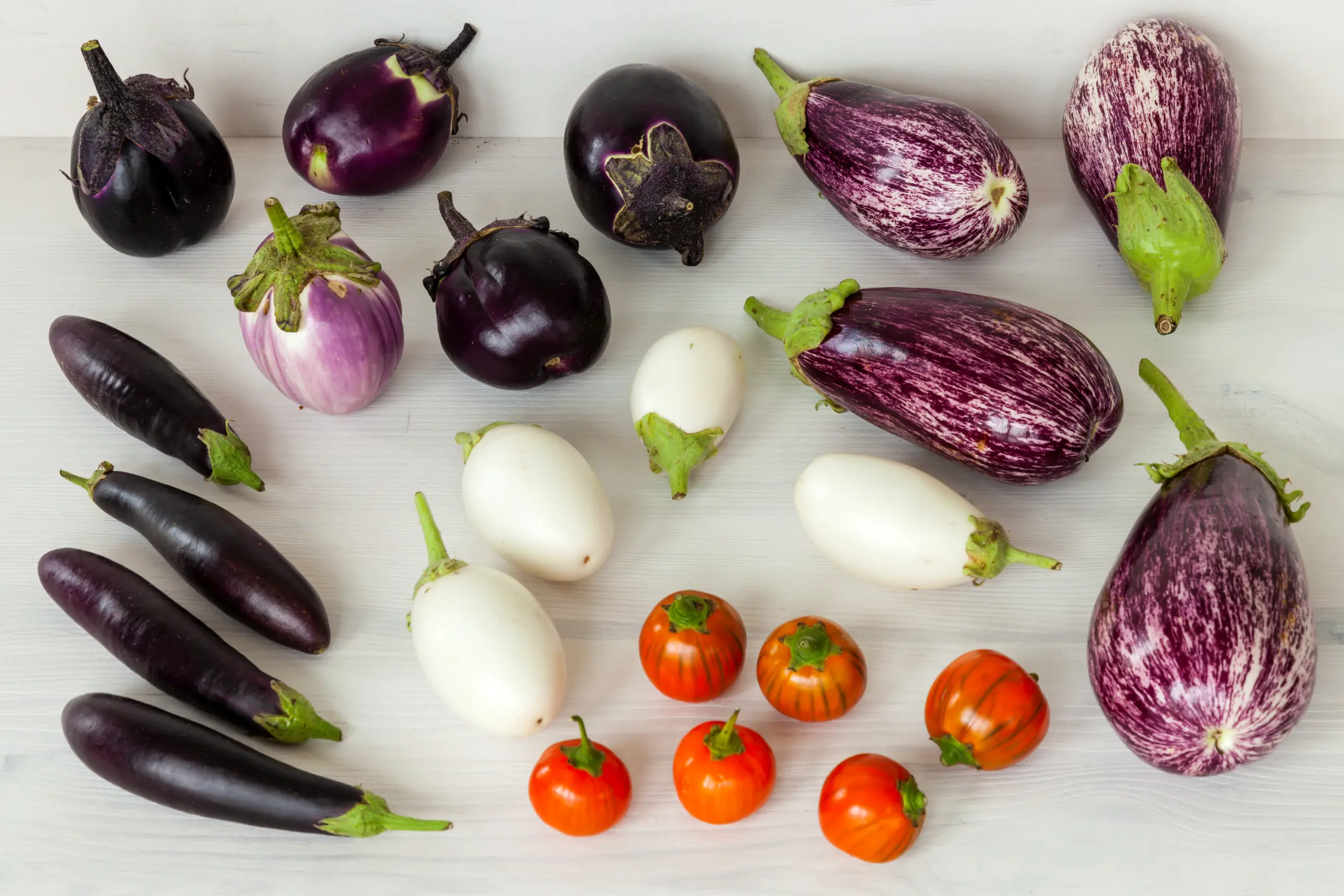 Diverse varietà di melanzane
