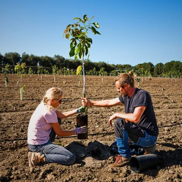Agrumi, ulivi e frutta tropicale. La sfida tutta bio dell’azienda agricola Valenziani