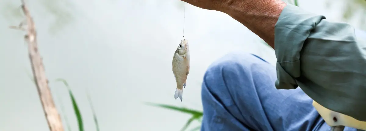 Overshoot Day, quest’anno cade il 24 luglio: un pesce piccolo all'amo